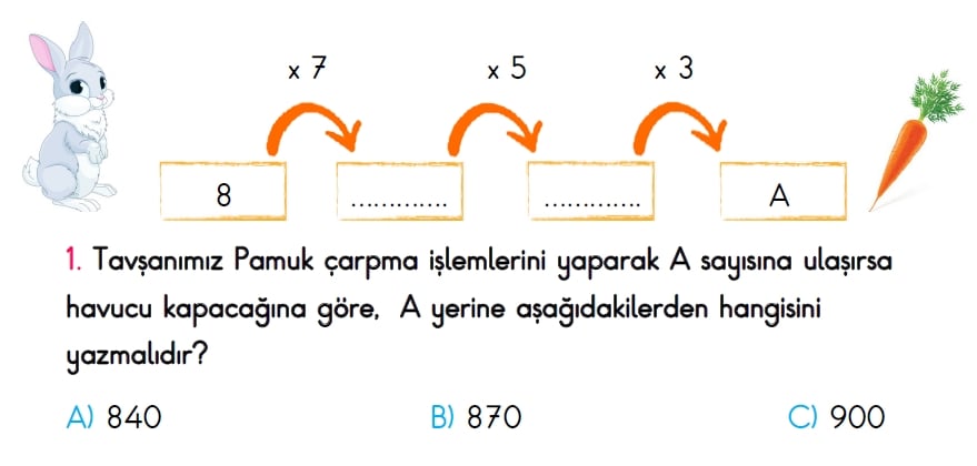 3. Sınıf Türkiye Geneli Ölçme ve Değerlendirme Sınavı 2