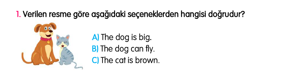 3. Sınıf Türkiye Geneli Kazanım Değerlendirme Sınavı 4