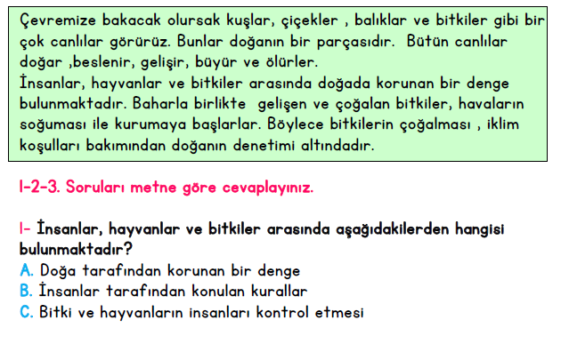 3. Sınıf İlkokul Evim Türkiye Geneli Süreç İzleme Sınavı 1