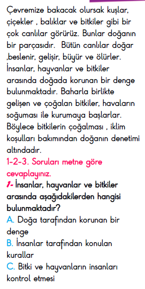 3. Sınıf İlkokul Evim Türkiye Geneli Süreç İzleme Sınavı 3