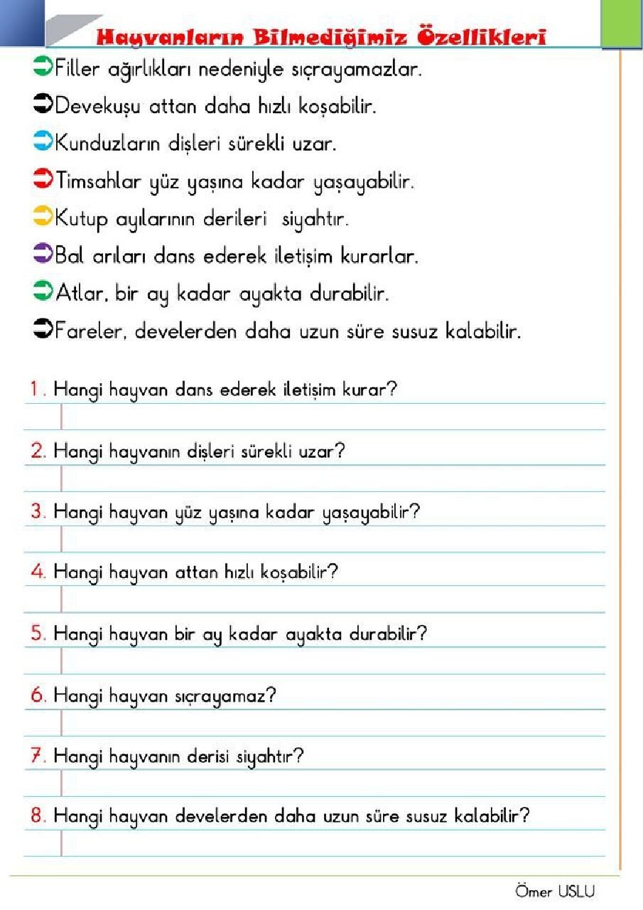 1. Sınıf Türkçe Okuma ve Anlama Etkinliği 4