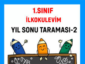 1. Sınıf Yıl Sonu Tarama-2