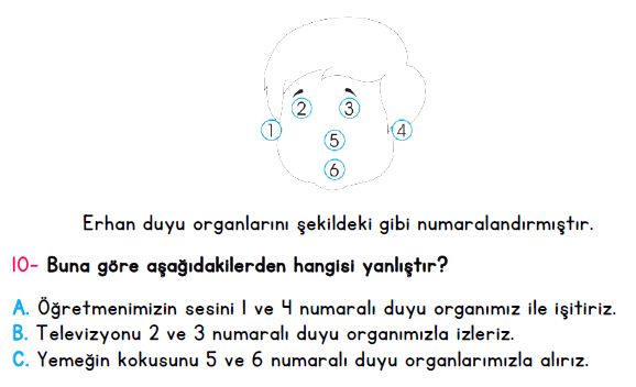 3. Sınıf İlkokul Evim Türkiye Geneli Süreç İzleme Sınavı 1