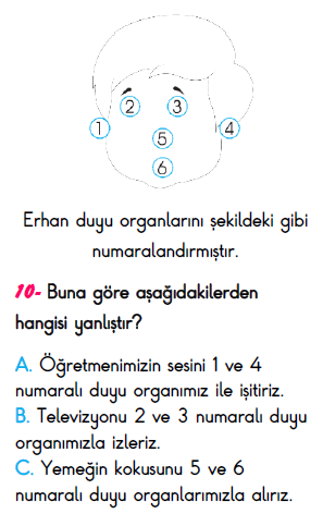 3. Sınıf İlkokul Evim Türkiye Geneli Süreç İzleme Sınavı 3