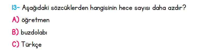 1. Sınıf Türkiye Geneli Kazanım Değerlendirme Sınavı 1