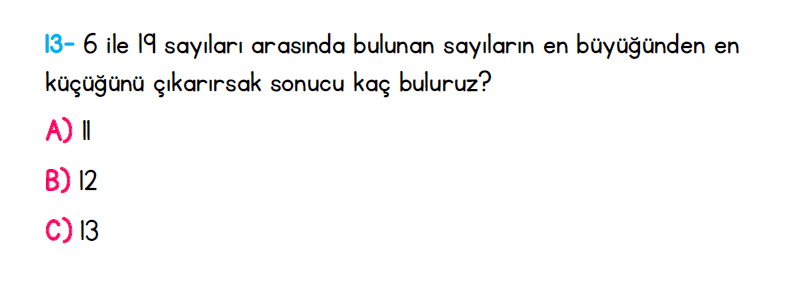 1. Sınıf Türkiye Geneli Kazanım Değerlendirme Sınavı 1