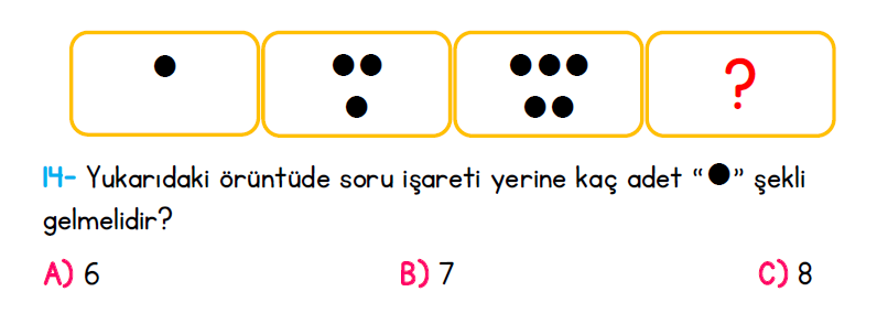 1. Sınıf Türkiye Geneli Kazanım Değerlendirme Sınavı 1