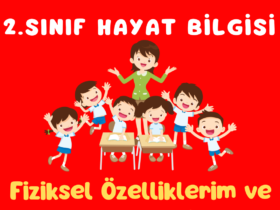 2.SINIF HAYAT BİLGİSİ FİZİKSEL ÖZELLİKLER VE YETENEKLER