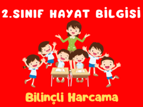 2.SINIF HAYAT BİLGİSİ BİLİNÇLİ HARCAMA YAPIYORUM