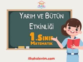 1. Sınıf Matematik Yarım ve Bütün Etkinliği