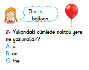 2. Sınıf İlkokul Evim Türkiye Geneli Süreç İzleme Sınavı 3