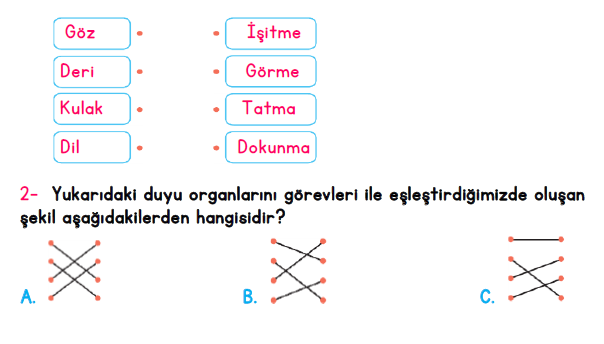 3. Sınıf İlkokul Evim Türkiye Geneli Süreç İzleme Sınavı 1