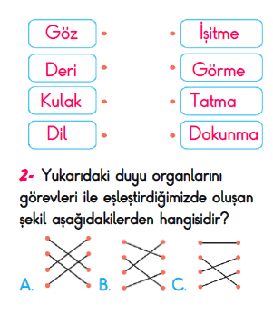 3. Sınıf İlkokul Evim Türkiye Geneli Süreç İzleme Sınavı 3