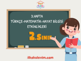 2. Sınıf 3. Hafta Etkinlikleri