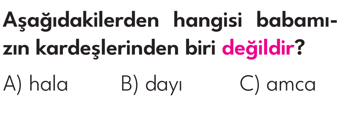 2.Sınıf 8. Hafta Değerlendirme Testi