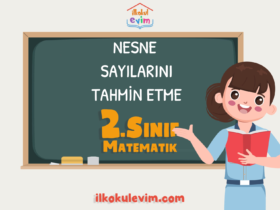 2.Sınıf Matematik Nesne Sayılarını Tahmin Etme