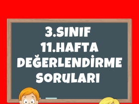 3.Sınıf 11. Hafta Değerlendirme Soruları