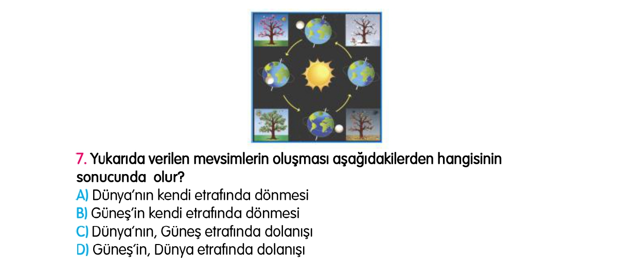 4.Sınıf 1-2-3-4. Hafta Tarama Sınavı