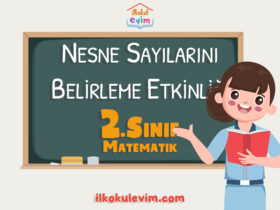 2. Sınıf Matematik Nesne Sayılarını Belirleme Etkinliği 1