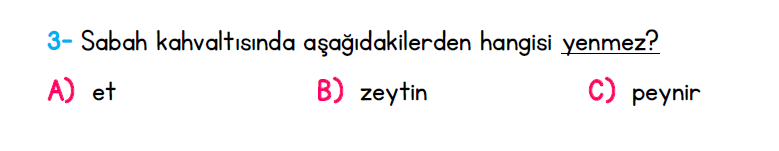 1. Sınıf Türkiye Geneli Kazanım Değerlendirme Sınavı 1