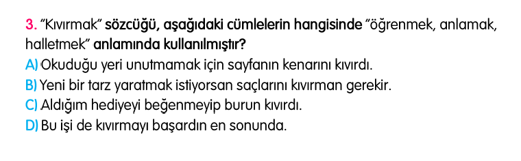 4. Sınıf Türkiye Geneli Kazanım Değerlendirme Sınavı 4