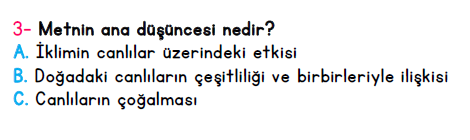 3. Sınıf İlkokul Evim Türkiye Geneli Süreç İzleme Sınavı 1