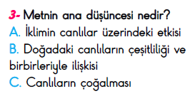 3. Sınıf İlkokul Evim Türkiye Geneli Süreç İzleme Sınavı 3