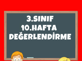 3.Sınıf 10. Hafta Değerlendirme Testi