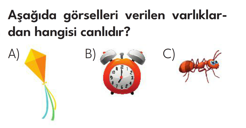 3.Sınıf 8. Hafta Değerlendirme Testi