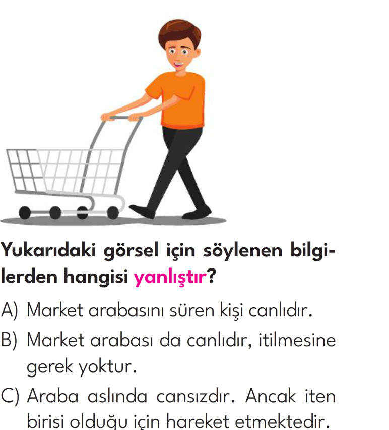 3.Sınıf 8. Hafta Değerlendirme Testi