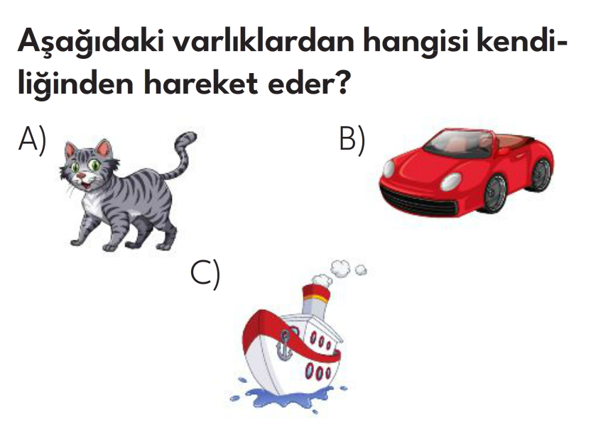 3.Sınıf 8. Hafta Değerlendirme Testi