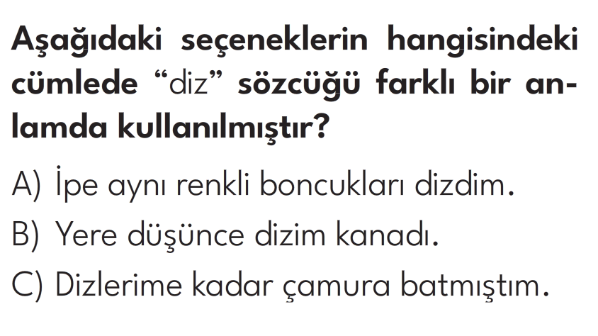 3.Sınıf 8. Hafta Değerlendirme Testi