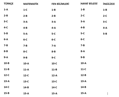 3.Sınıf 2.Dönem Türkiye Geneli Hazırbulunuşluk Sınavı