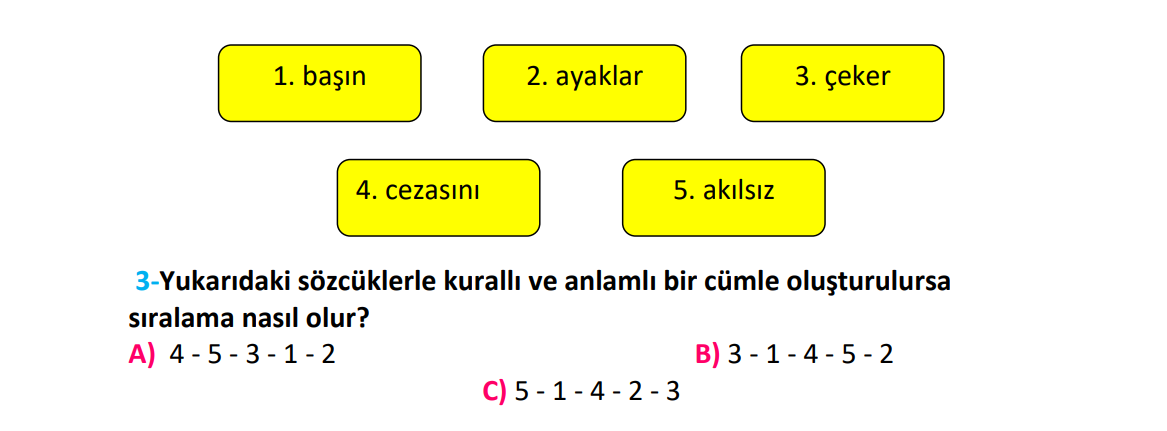 2. Sınıf Türkiye Geneli Kazanım Değerlendirme Sınavı-3