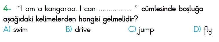 4. Sınıf Türkiye Geneli Ölçme ve Değerlendirme Sınavı 2