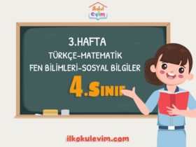 4.Sınıf 3.Hafta Etkinlikleri