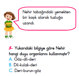 3. Sınıf İlkokul Evim Türkiye Geneli Süreç İzleme Sınavı 3