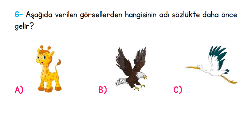 1. Sınıf Türkiye Geneli Kazanım Değerlendirme Sınavı 1