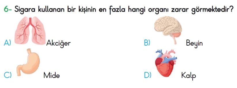 4. Sınıf Türkiye Geneli Ölçme ve Değerlendirme Sınavı 2