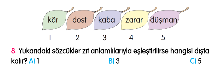 2. Sınıf Türkiye Geneli Kazanım Değerlendirme Sınavı 4