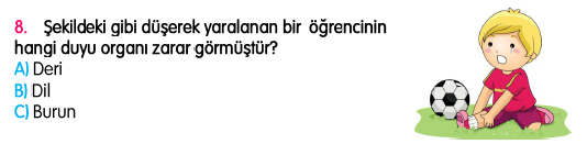 3.Sınıf Ekim Ayı Süreç İzleme Sınavı-2