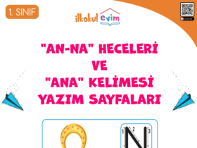 1. Sınıf N Sesi 