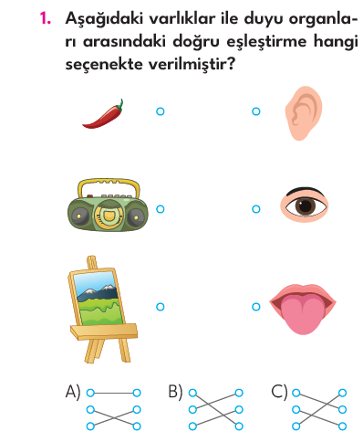 3.Sınıf 4. Hafta Değerlendirme Testi