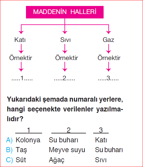 3. Sınıf 15. Hafta Değerlendirme Sınavı