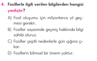 4.Sınıf 4. Hafta Değerlendirme Testi