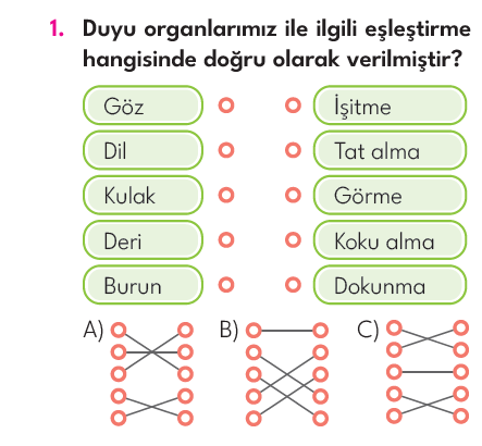 3.Sınıf 5. Hafta Değerlendirme Testi