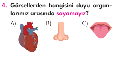 3.Sınıf 5. Hafta Değerlendirme Testi