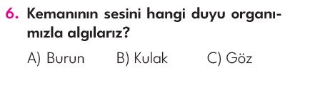 3.Sınıf 5. Hafta Değerlendirme Testi