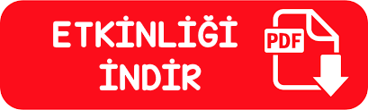 2.Sınıf Türkçe 5N1K Etkinliği