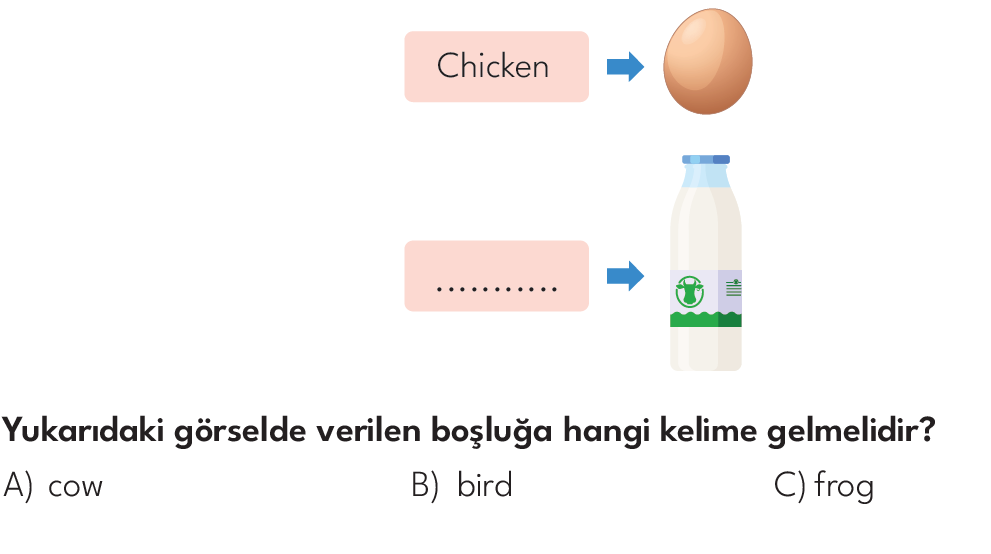 3.SINIF 2024-2025 EĞİTİM ÖĞRETİM YILI HAZIRBULUNUŞLULUK SINAVI